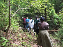 A line of people walking through the forest.